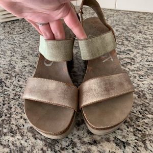 OTBT Bushnell Wedges